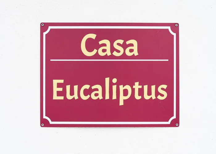Eucaliptus