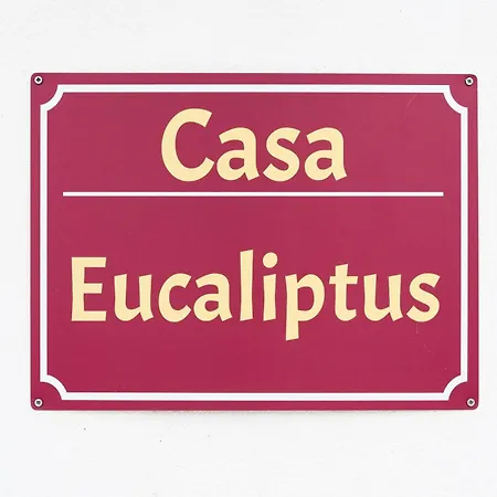 Eucaliptus *